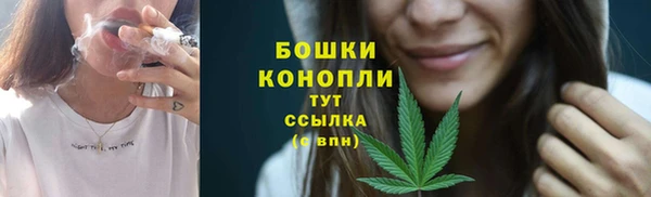 гидра Нея