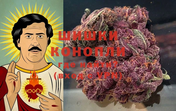 ПСИЛОЦИБИНОВЫЕ ГРИБЫ Надым