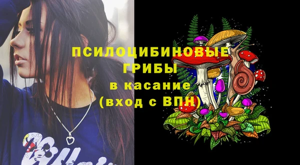 ПСИЛОЦИБИНОВЫЕ ГРИБЫ Надым